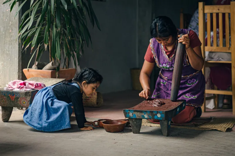 The Provenance Paradox: How Single-Origin Dogma Is Leaving American Craft Chocolate's Best Work Untold